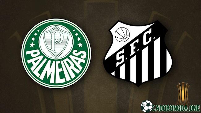 dự đoán Santos với Palmeiras