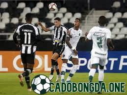 dự đoán Botafogo RJ cùng Goias