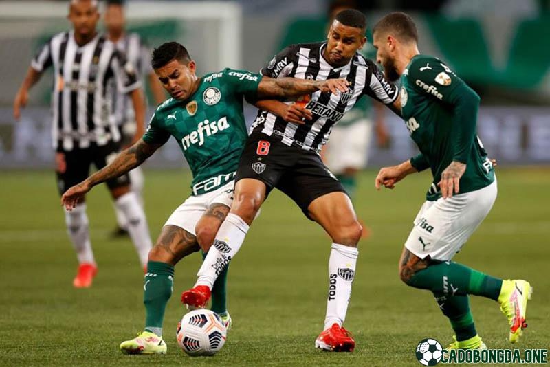 dự đoán Palmeiras với Atletico Mineiro