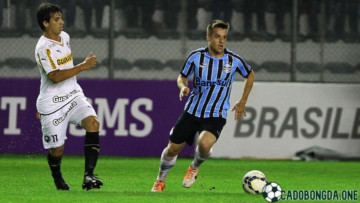 dự đoán Botafogo RJ cùng Gremio